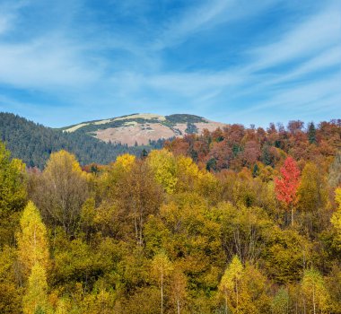 Sonbahar sabahı Karpat Dağları sakin resim sahnesi, Ukrayna. Huzurlu seyahat, mevsimlik, doğa ve kırsal güzellik konsepti.