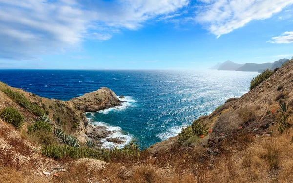 Mar Mediterráneo Verano Costa Rocosa Vista Con Plantas Cactus Flor — Foto de Stock