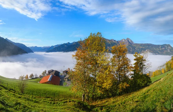 Zonnige Idyllische Herfst Alpine Scene Rustige Mistige Ochtend Alpen Bergzicht — Stockfoto