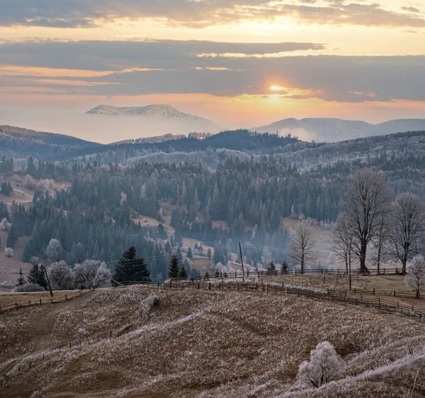 Inverno Sta Arrivando Pittoresca Scena Mattutina Nebbiosa Lunatica Nella Campagna — Foto Stock