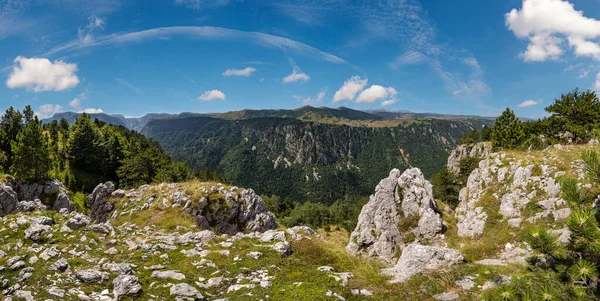 山のダルミトール国立公園 モンテネグロ ヨーロッパ バルカン半島ディナリックアルプス ユネスコ世界遺産のタラキャニオンの美しい夏の山の風景 — ストック写真