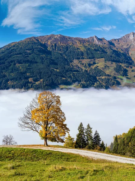 Sisli Sonbahar Sabahı Dağı Dorfgastein Land Salzburg Avusturya Yakınlarındaki Yürüyüş — Stok fotoğraf