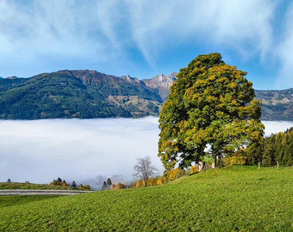 Sunny Idyllic Autumn Alpine Scene Peaceful Misty Morning Alps Mountain — 스톡 사진