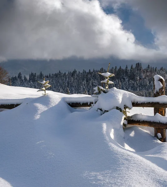 高山雪地冬季冷杉林和雪地漂移在乡村小道路旁的木栅栏附近 — 图库照片