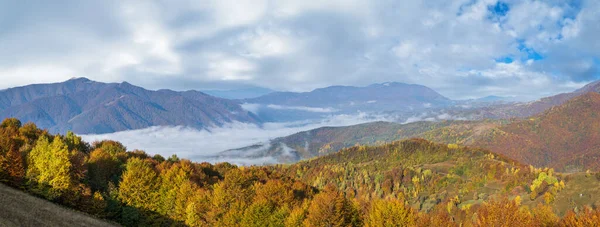 多雾的早秋山景 宁静的风景秀丽的旅游 季节性的 自然的和乡村的美的概念风景 乌克兰喀尔巴阡山脉 — 图库照片