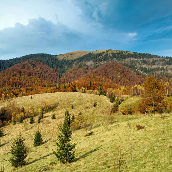 카르파티아 우크라 아름다운 경치를 이루고 시골의아름다움 — 스톡 사진