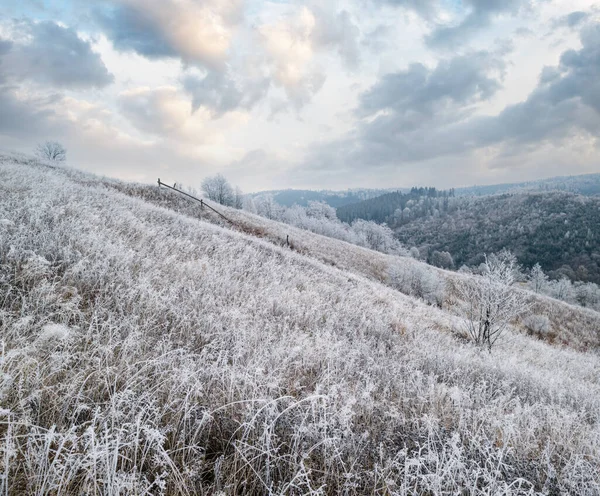 Winter Komt Eraan Bewolkte Mistige Ochtend Zeer Laat Herfst Bergen — Stockfoto