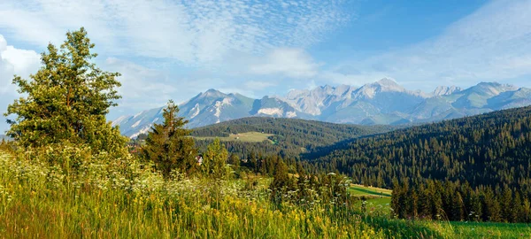 Sommerabend Bergdorf Rande Mit Blühendem Feld Und Tatra Gebirge Dahinter — Stockfoto