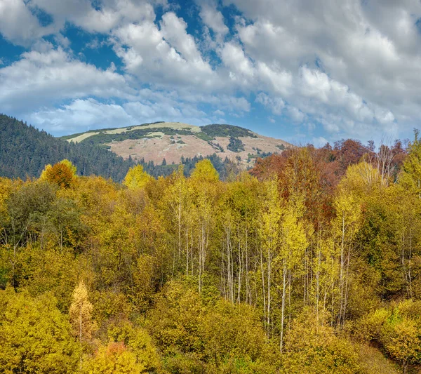 Otoño Mañana Cárpatos Montañas Calma Pintoresca Escena Ucrania Viajes Pacíficos —  Fotos de Stock