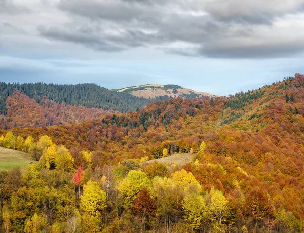 秋天的早晨 喀尔巴阡山脉平静而风景如画 乌克兰 和平旅游 自然与乡村美景概念景观 — 图库照片