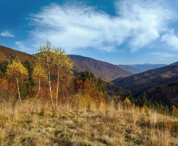 Automne Matin Montagnes Des Carpates Calme Scène Pittoresque Ukraine Voyages — Photo