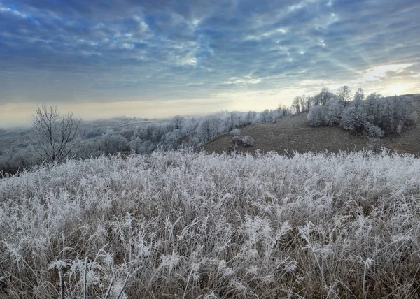 冬が来る 曇りと霧の朝は非常に晩秋の山々のシーン 静かな絵の旅 自然と田舎の美しさのコンセプトシーン カルパティア山脈 ウクライナ — ストック写真