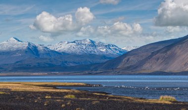 İzlanda 'da otomobil gezisi sırasında görüntüle. Manzaralı İzlanda manzarası: dağlar, okyanus kıyıları, fiyortlar, tarlalar, bulutlar, buzullar, şelaleler, vahşi kuş sürüleri.