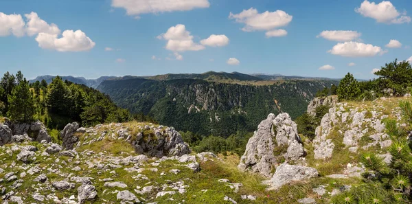 Durmitor Milli Parkı Ndaki Tara Kanyonu Nun Pitoresk Yaz Lık — Stok fotoğraf