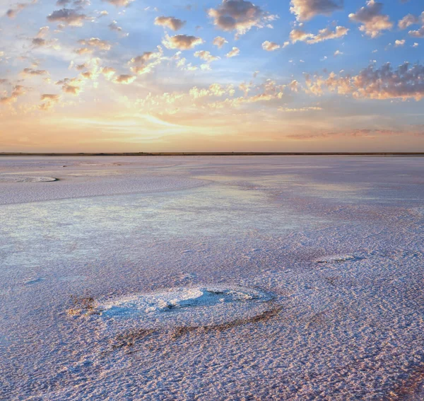 Zonsondergang Genichesk Roze Extreem Zoute Meer Gekleurd Door Microalgen Met — Stockfoto