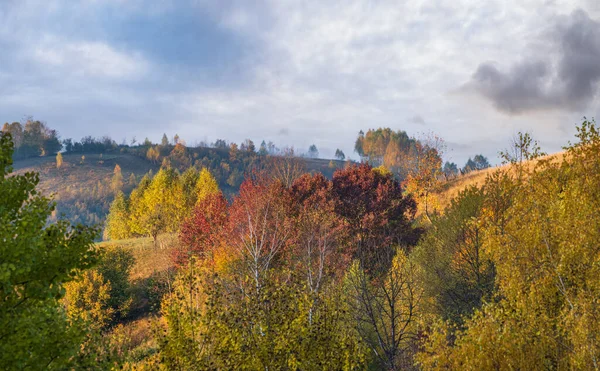 Ομίχλη Νωρίς Πρωί Σκηνή Βουνά Φθινόπωρο Ήσυχα Γραφικά Ταξίδια Εποχιακά — Φωτογραφία Αρχείου
