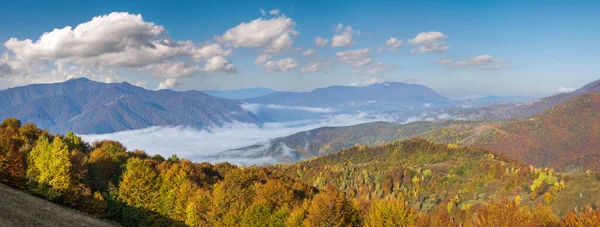 Foggy Scena Montagna Primo Mattino Autunno Tranquillo Pittoresco Viaggio Stagionale — Foto Stock