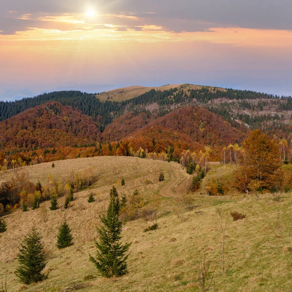 Sonbahar Sabahı Karpat Dağları Sakin Resim Sahnesi Ukrayna Huzurlu Seyahat — Stok fotoğraf