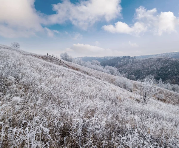 冬が来る 曇りと霧の朝は非常に晩秋の山々のシーン 静かな絵の旅 自然と田舎の美しさのコンセプトシーン カルパティア山脈 ウクライナ — ストック写真