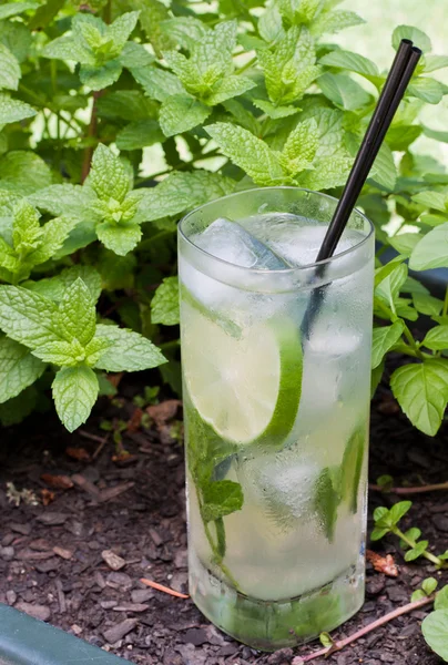 Venkovní mojito — Stock fotografie