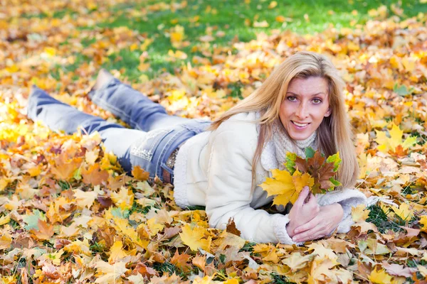 Herfst kleuren — Stockfoto