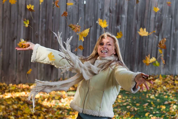 Falling leaves — Stock Photo, Image