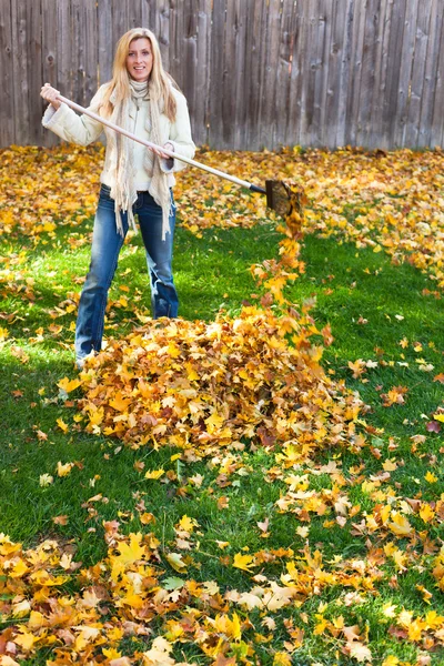 Autumn chores — Stock Photo, Image