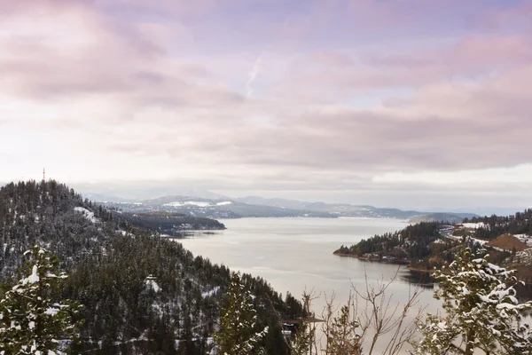 Coeur d — стоковое фото