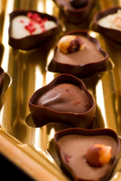 Chocolate assortment — Stock Photo, Image
