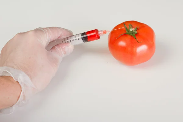 Injicera en gmo tomat — Stockfoto