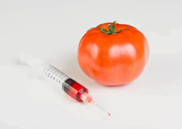 Seringa e tomate gmo — Fotografia de Stock
