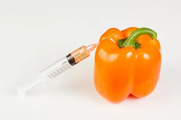 Gmo Paprika — Stockfoto