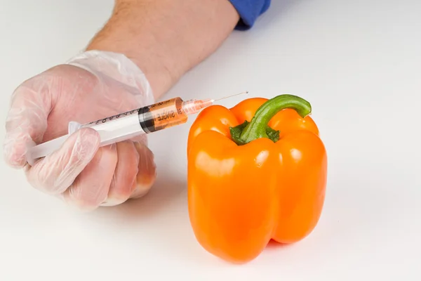 Injecting a gmo bell pepper — Stock Photo, Image