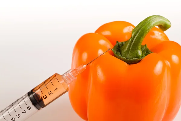 Gmo bell pepper — Stock Photo, Image