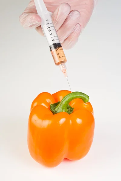 Injecting a gmo bell pepper — Stock Photo, Image