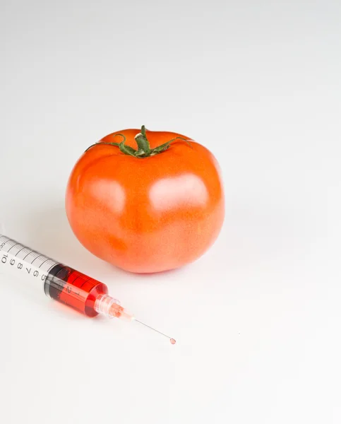 Seringa e tomate gmo — Fotografia de Stock