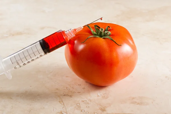 Genmodifierade tomaten, gmo — Stockfoto