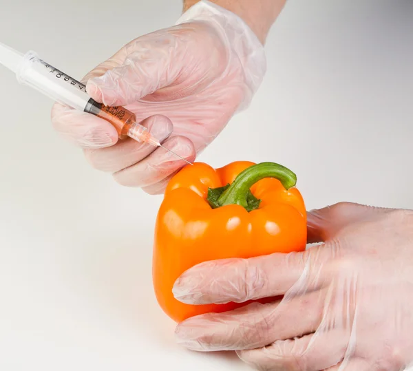 Injecting a gmo bell pepper — Stock Photo, Image