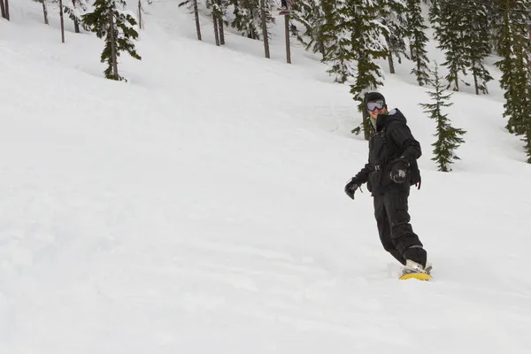 Snowboard — Zdjęcie stockowe