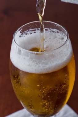 altın bira
