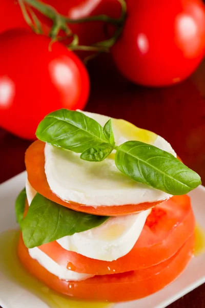 Čerstvý mozzarella a rajčatový salát — Stock fotografie