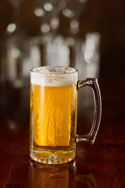 soğuk bir bira bir kupa