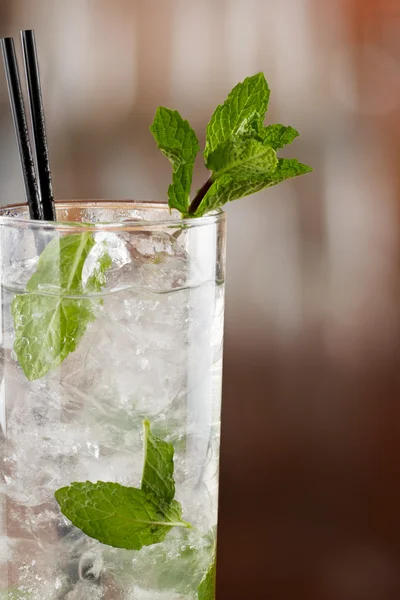 Traditionell mojito — Stockfoto