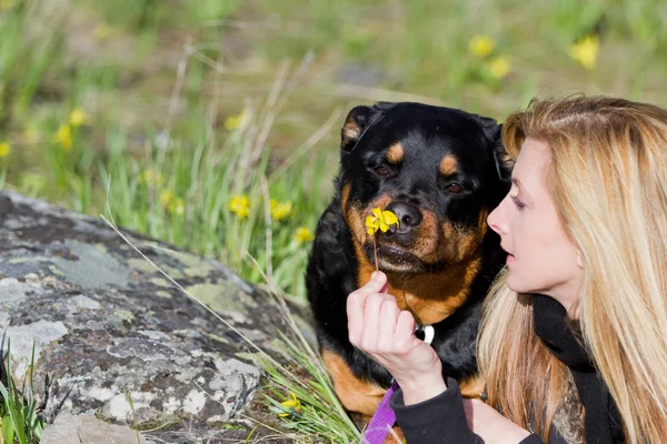 Best firends — Stock Photo, Image