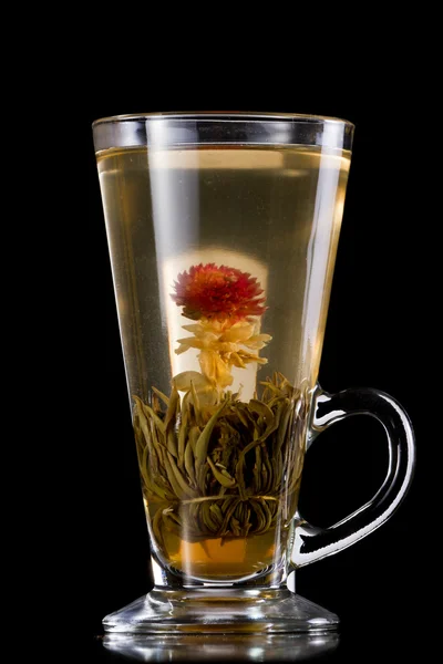 Virágzó tea — Stock Fotó
