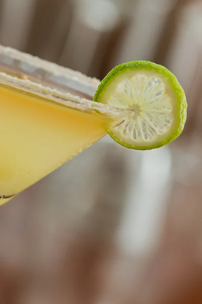 Martini de Margarita — Fotografia de Stock