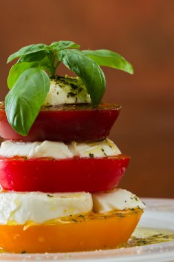 Taze mozarella ve domates salatası.