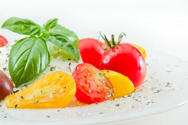 Fresh Capresse Salad — Stock Photo, Image