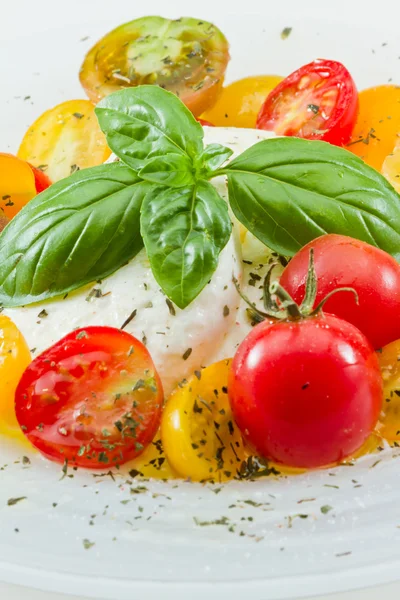 Ensalada de Capresse fresca — Foto de Stock