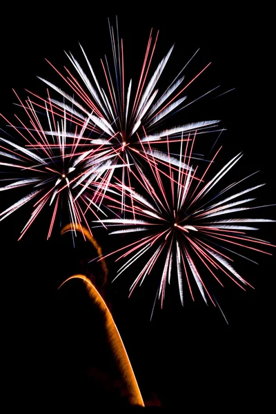 Feiern mit Feuerwerk — Stockfoto